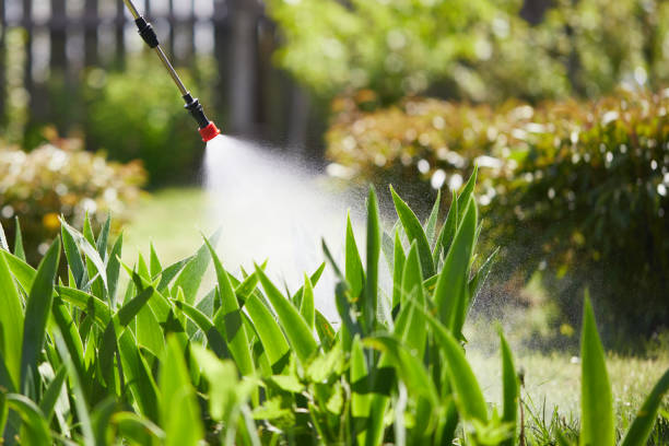 Tamper-Resistant Bait Stations for Rodents in Riverview