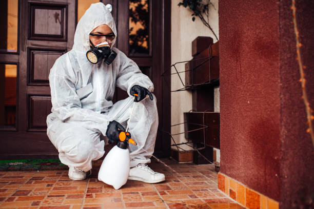 Attic and Crawl Space Rodent Treatment in Riverview
