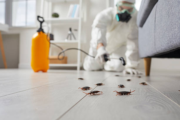 Commercial Rodent Management in Riverview